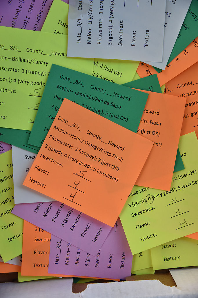 Melon score cards lay in a pile following taste tests